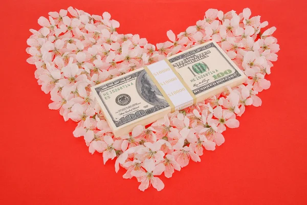 美元在心脏上的所作的鲜花 — 图库照片