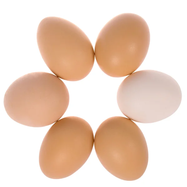 Seis ovos em círculo. Um ovo branco . — Fotografia de Stock