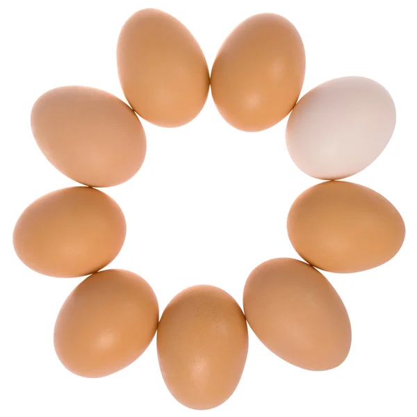 Девять яиц по кругу. Одно яйцо белое . — стоковое фото