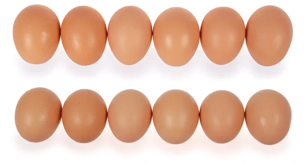 Шесть яиц подряд — стоковое фото