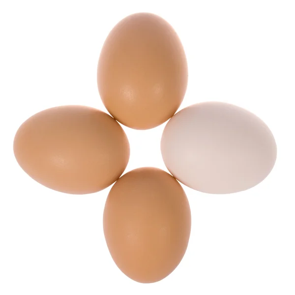 Quatro ovos em círculo. Um ovo branco . — Fotografia de Stock