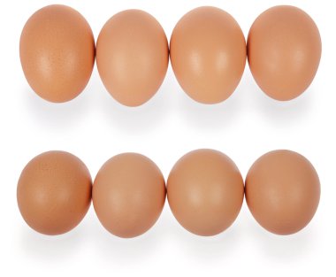 satırda dört yumurta