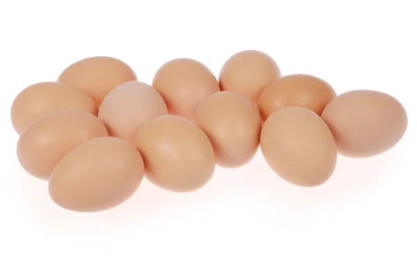 Двенадцать яиц — стоковое фото