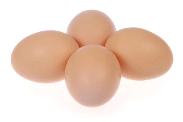 Daire içinde dört yumurta — Stok fotoğraf