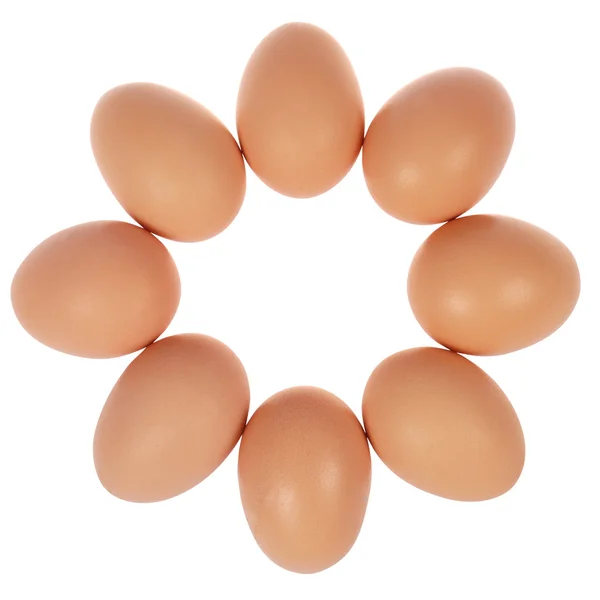 Восемь яиц по кругу — стоковое фото