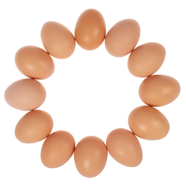 Twelve eggs in circle — Stock Photo, Image