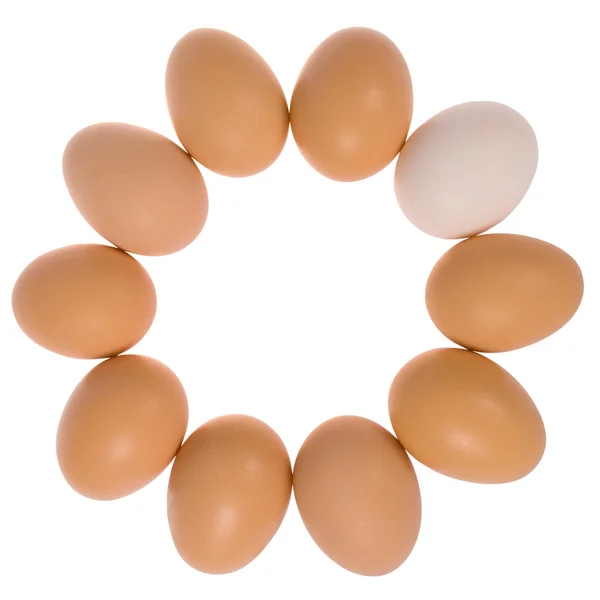 Ten eggs in circle. One egg white. — Stock Photo, Image
