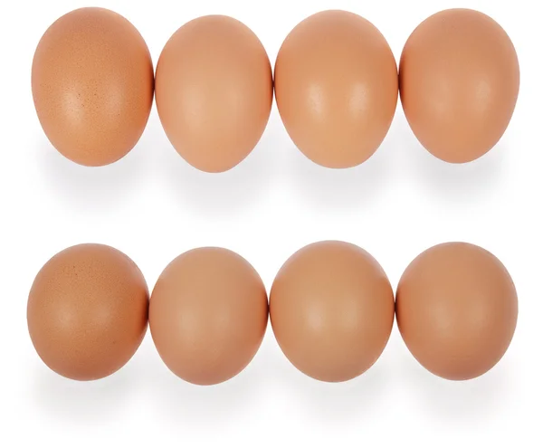 Four eggs in row — Stock Photo, Image