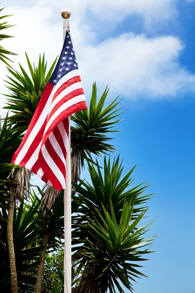 USA vlag en handpalmen op blauwe hemel — Stockfoto