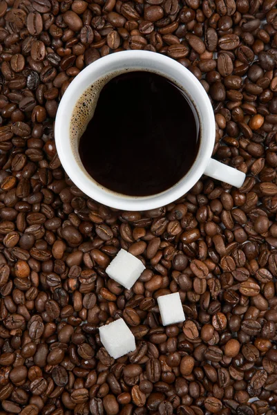Coffee cup with sugar on roasted beans — Stock Photo, Image