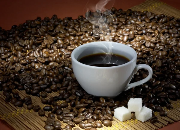 Coffee cup with sugar on roasted beans — Stock Photo, Image