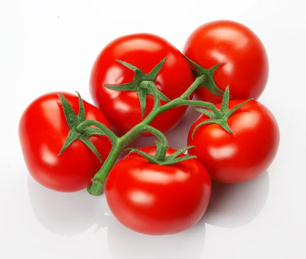 红色新鲜番茄 — 图库照片