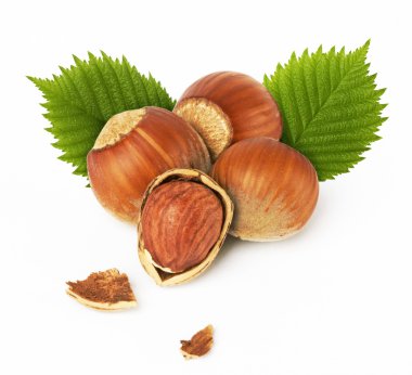 Hazelnuts with leaves clipart