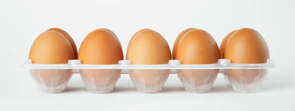 Яйця в упаковці — стокове фото