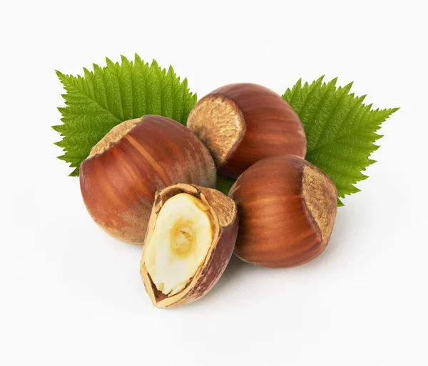 Hazelnuts with leaves — Stock Photo, Image