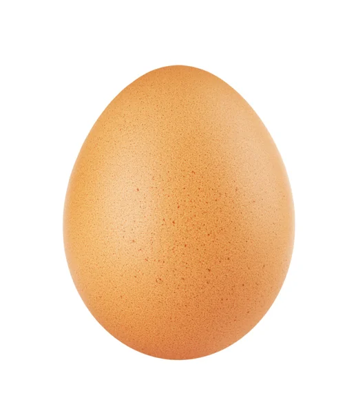 Egy tojás. — Stock Fotó