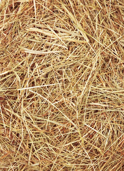 stock image Straw texture