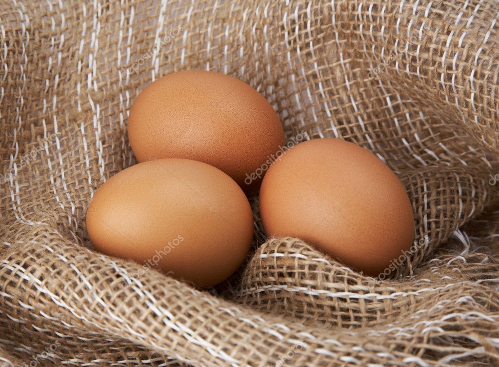 Three eggs in canvas ??? Stock Photo ?? krasyuk 5697329