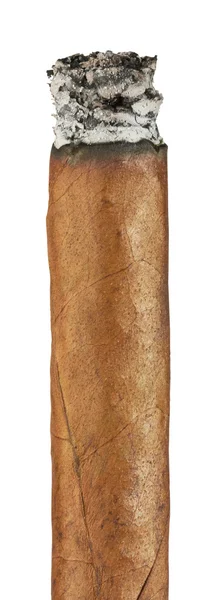 Brinnande kubanska cigarr — Stockfoto