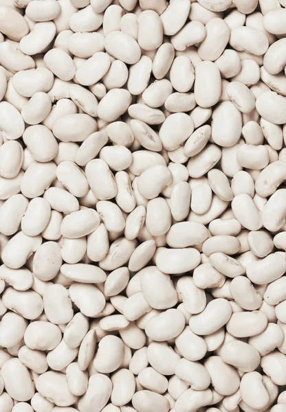 콩 배경 — 스톡 사진