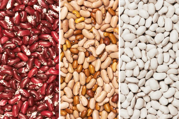 豆の混合物 — ストック写真