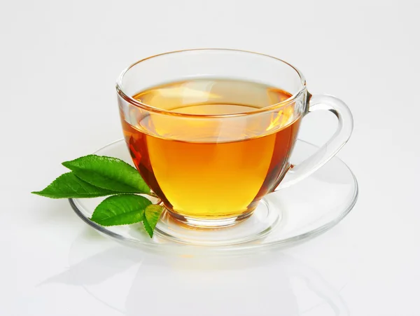 Чашка чая и зеленый лист — стоковое фото