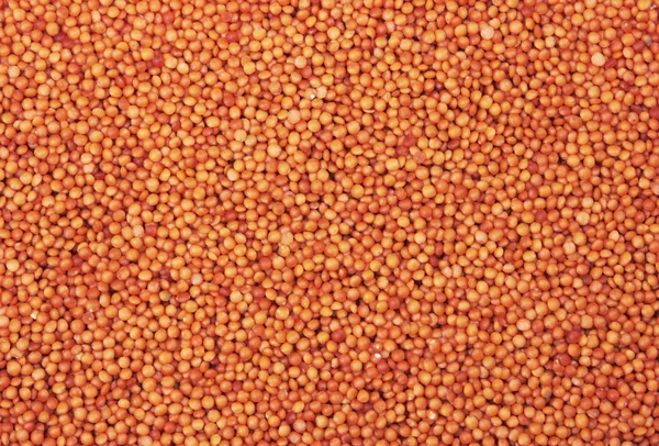 赤レンズ豆 — ストック写真