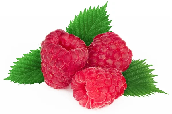 Ripe raspberry with leaf — Stock Photo, Image