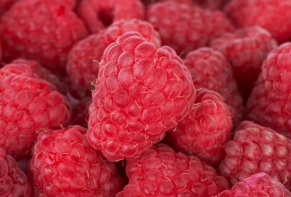 Sweet raspberries closeup background — Stock Photo, Image