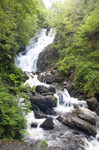 stock image Torc Waterfall, Killarney National Park