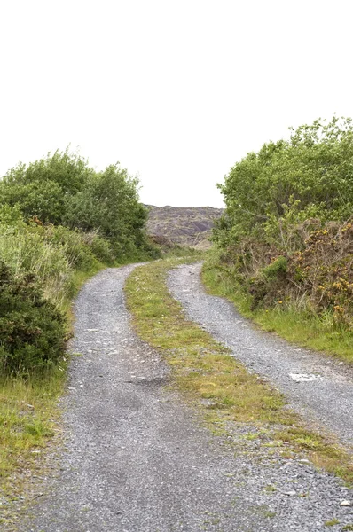Проселочная дорога в Ирландии — стоковое фото