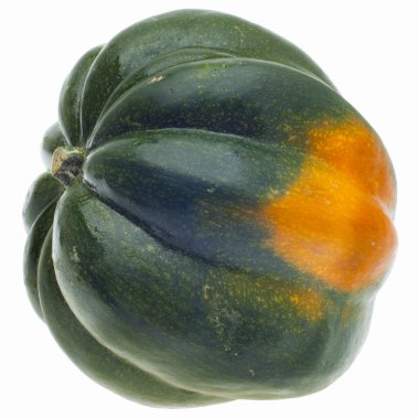 Acorn Squash clipart