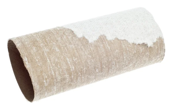 Rollo vacío de papel higiénico — Foto de Stock