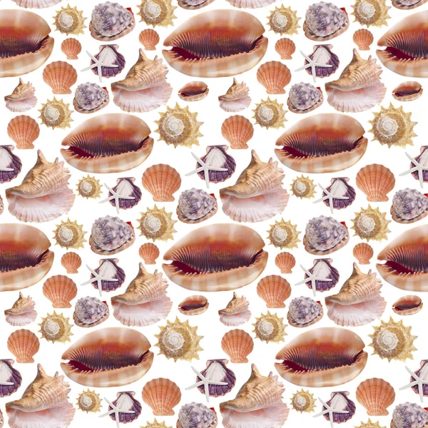 Sea shell naadloze achtergrondpatroon — Stockfoto