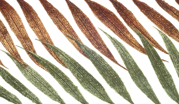 抽象的なキラキラの葉の形状の背景 — ストック写真