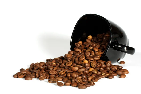 Кубок з зерна кави — стокове фото