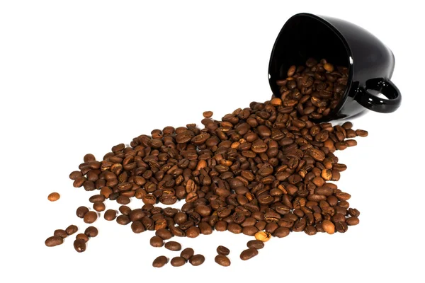 Pohár s zrn kávy — Stock fotografie