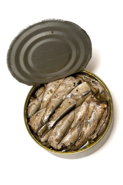 Ψάρια παπαλίνα (σαρδελόρεγγα) — Φωτογραφία Αρχείου
