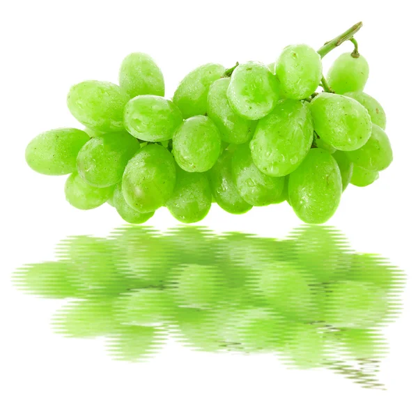 Groene druiven met water reflectie — Stockfoto