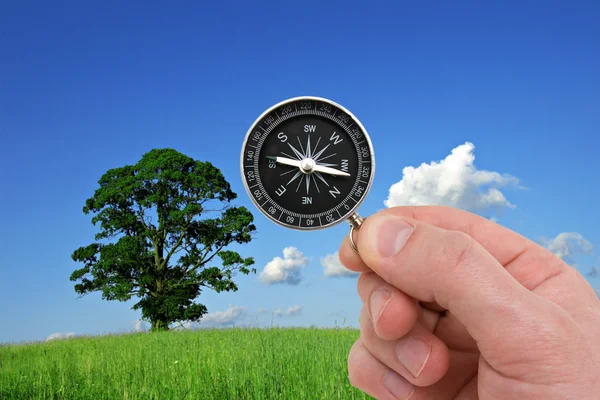 Hand mit Kompass auf Natur Hintergrund. — Stockfoto