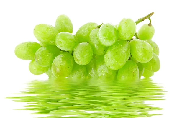 Uva verde con riflesso d'acqua. — Foto Stock