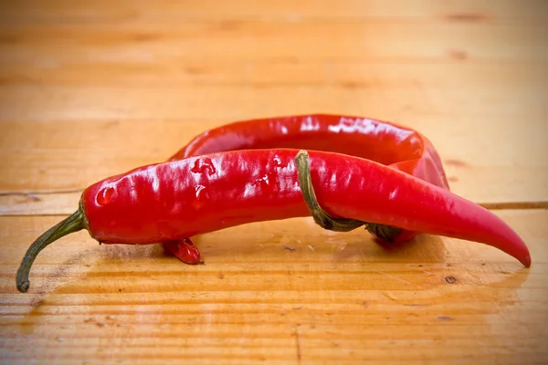 Röd chilipeppar. — Stockfoto