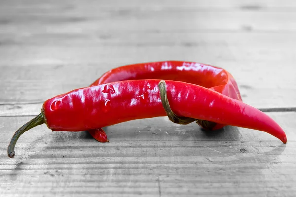Dwie papryki chili. — Zdjęcie stockowe
