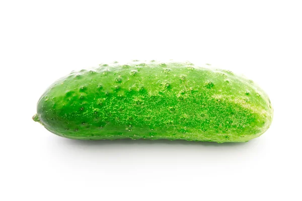 Grüne Gurke — Stockfoto