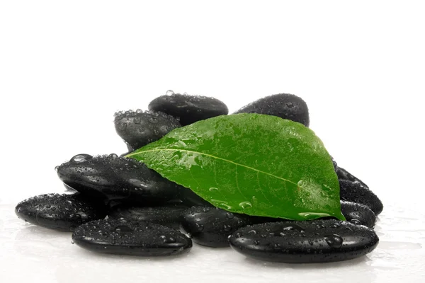 Pedras de Zen, com uma folha verde. — Fotografia de Stock