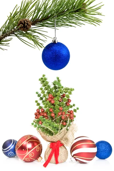 Сосновая ветвь и рождественские украшения — стоковое фото