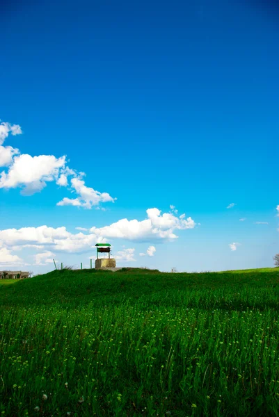 Legno bene contro il campo verde e cielo blu — Foto Stock