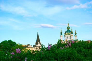 Saint Andrew's kilise Kiev leylak çiçeği tepede. Ukrayna
