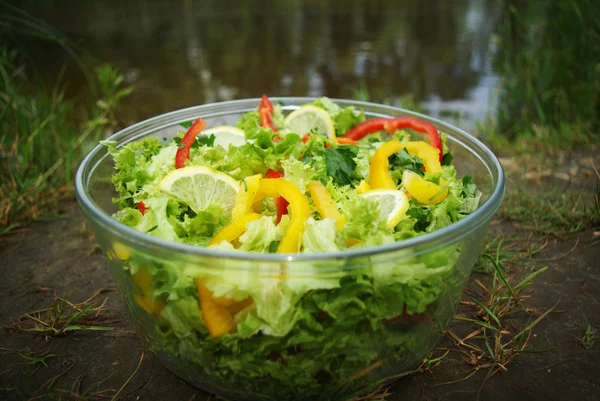 Fresh healthy salad against river — Stock Photo, Image
