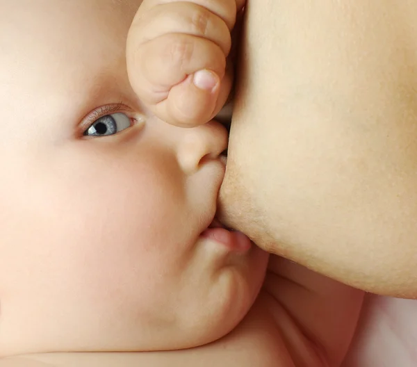 Kis baba, szoptatás — Stock Fotó